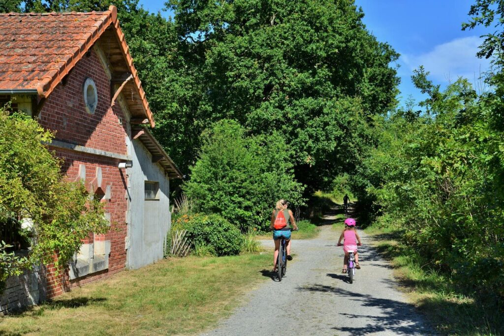 Balade dans le bois des Gaudriers à Thorigné-Fouillard