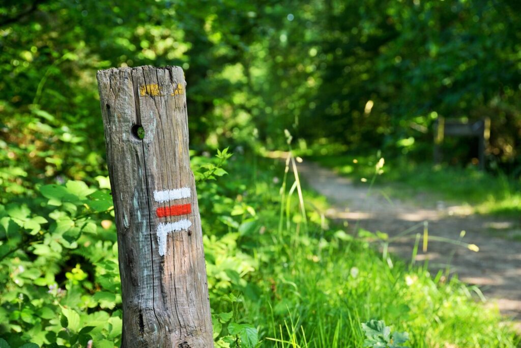 Balisage rouge et blanc du GR 39, sentier de grande randonnée en Bretagne