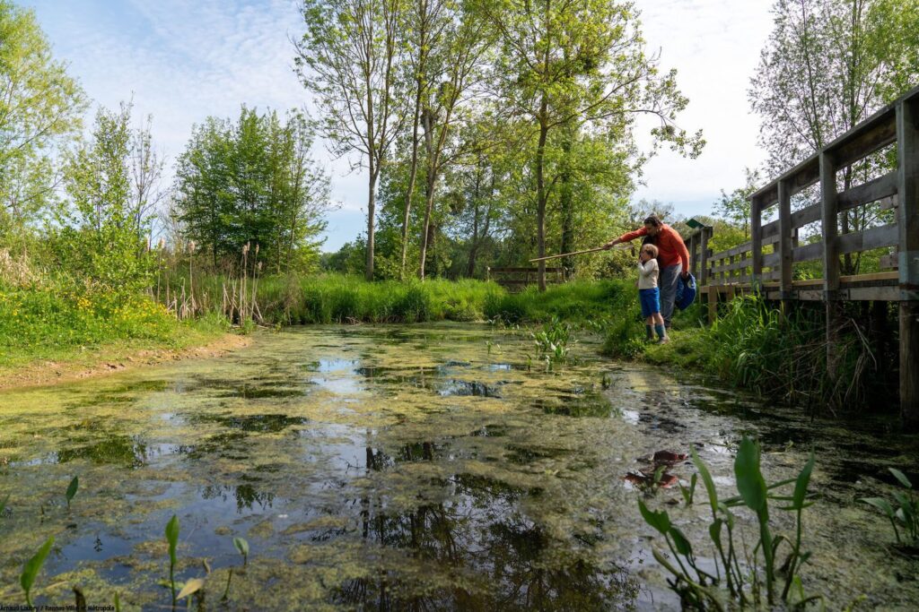 Un père et son fils se promène au bord d'un étang à Mordelles