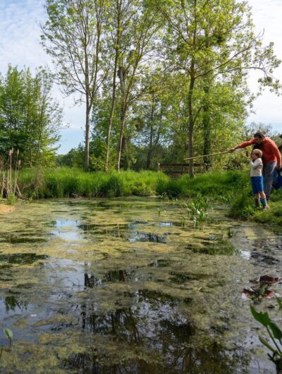 Un père et son fils se promène au bord d'un étang à Mordelles