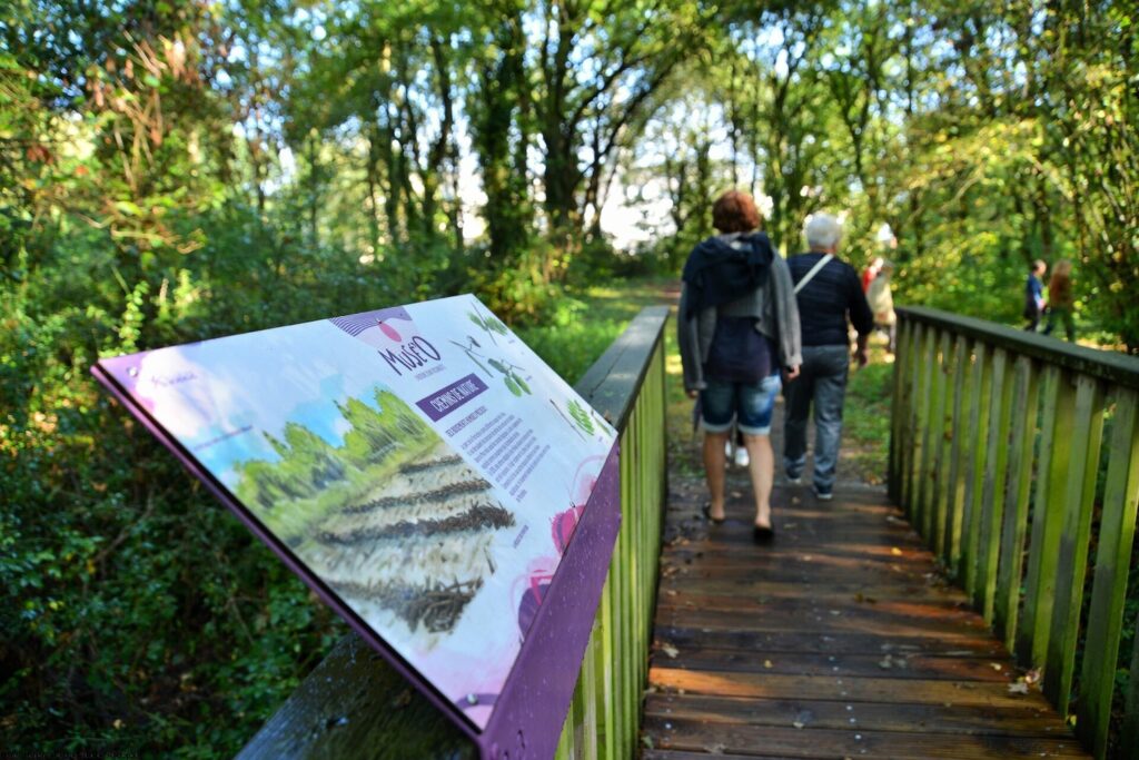 Une famille traverse une passerelle dans une forêt à Mordelles