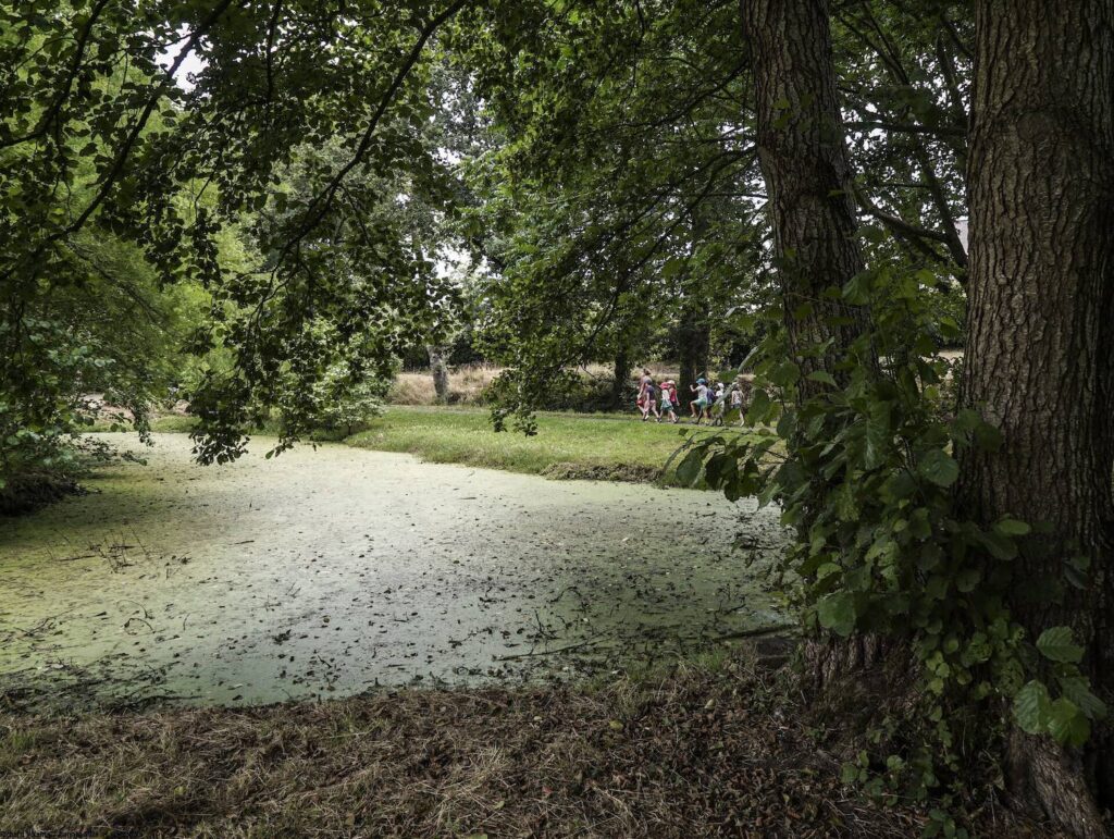 Des enfants se baladent sur le sentier botanique de Vezin-le-Coquet