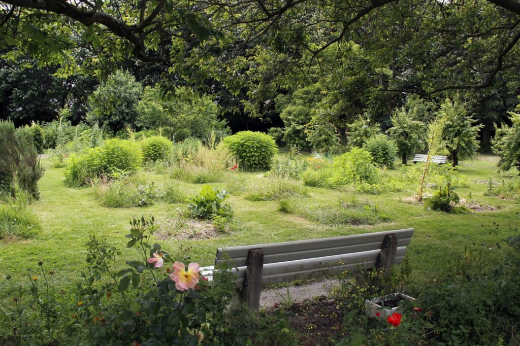 Jardins partagées au parc Saint-Cyr