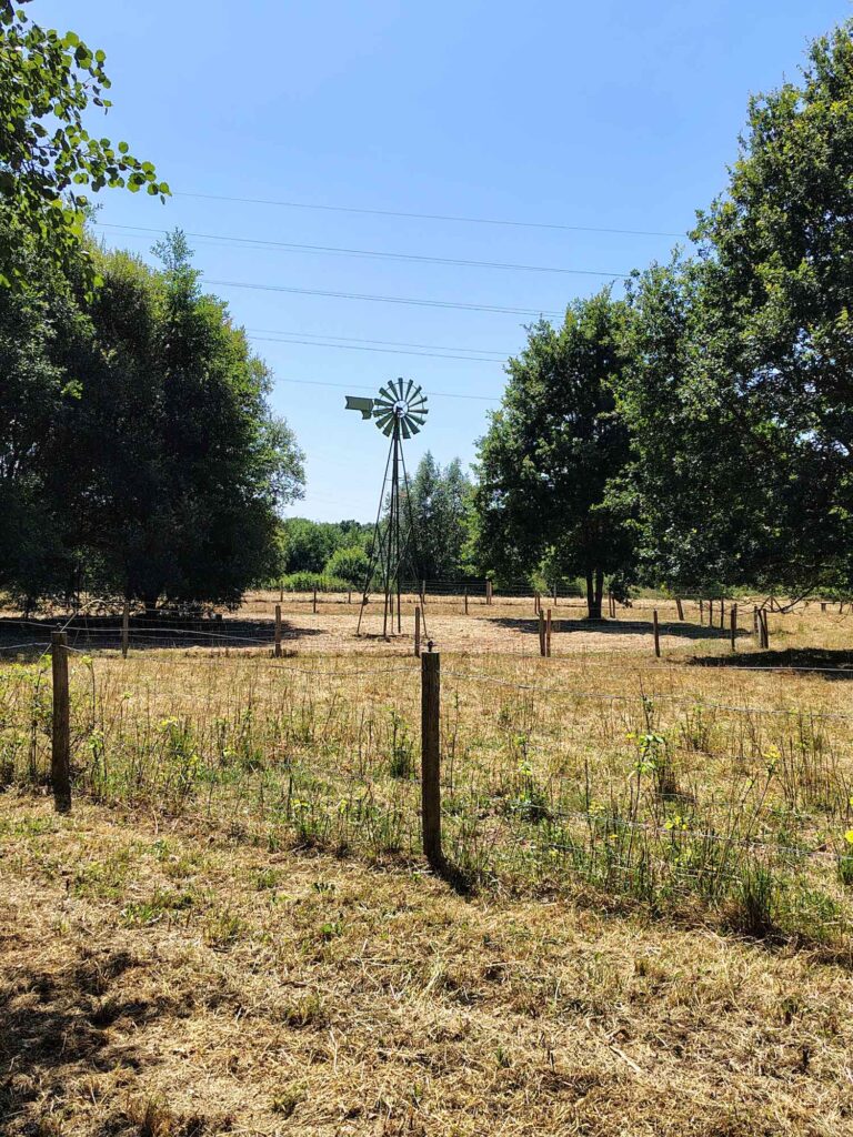 Le parc de l'an 2000 à Bruz s'étend sur 19 hectares