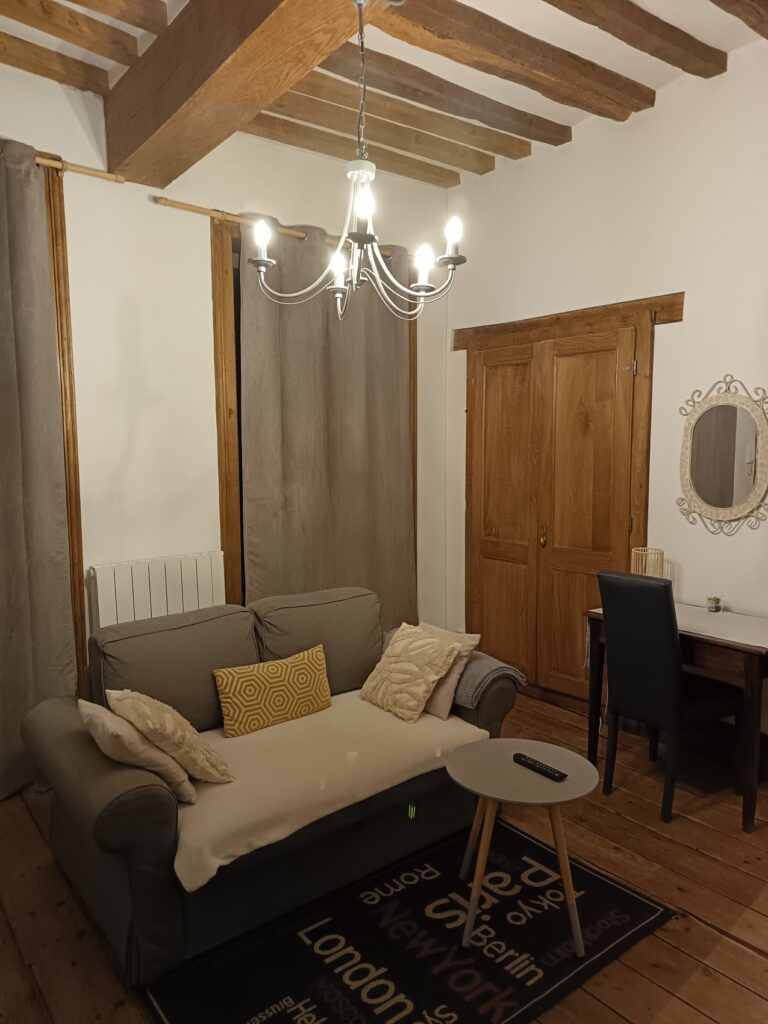 salon avec canapé