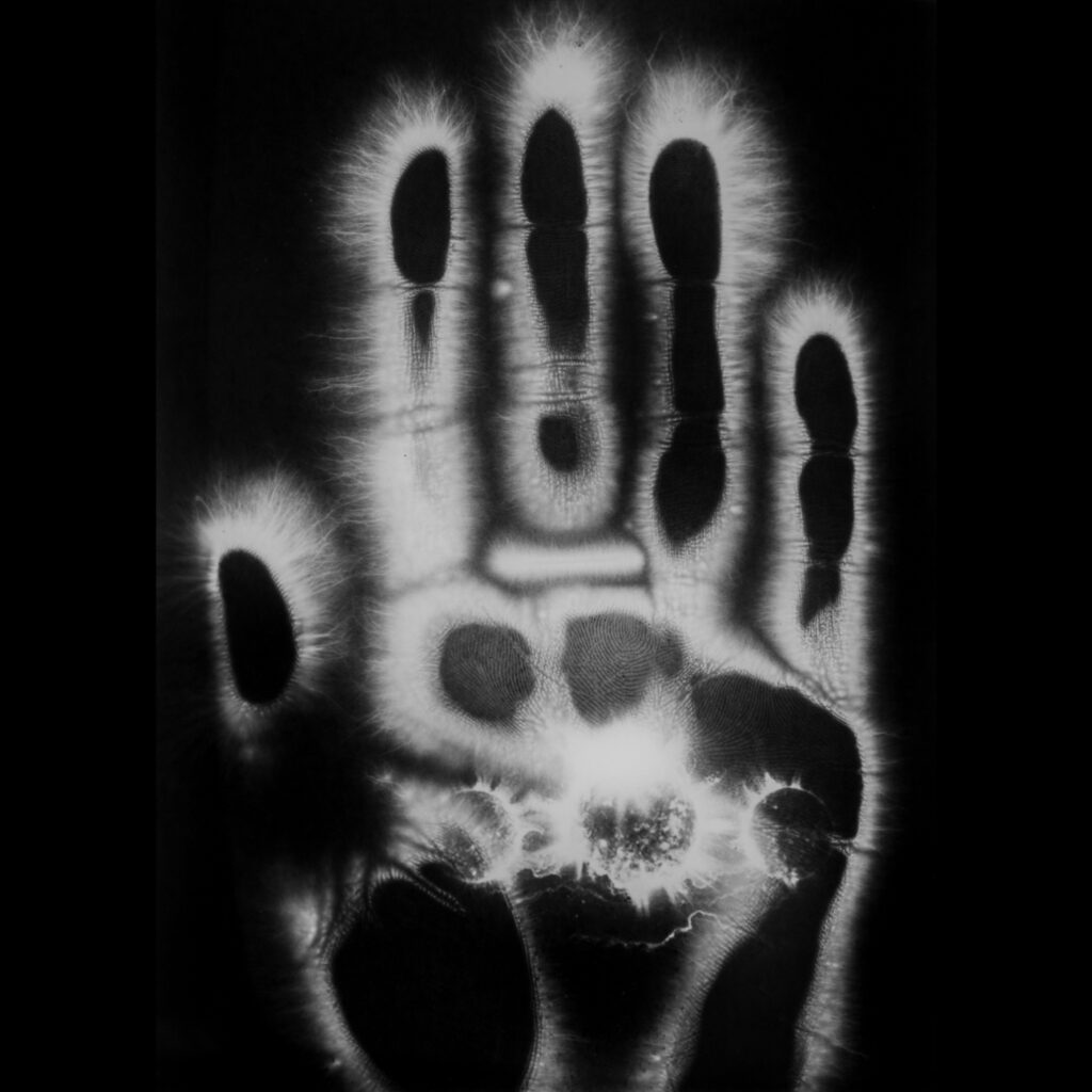 estelle-chaigne-les-mains-negatives-2024-27189