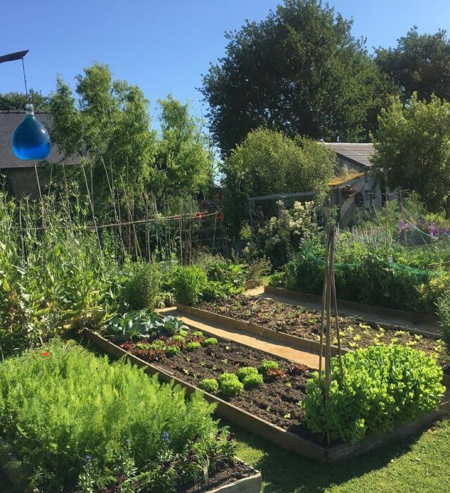 jardins-rocambole-27182