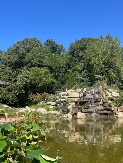 maurepas-jardin-chinois-27112