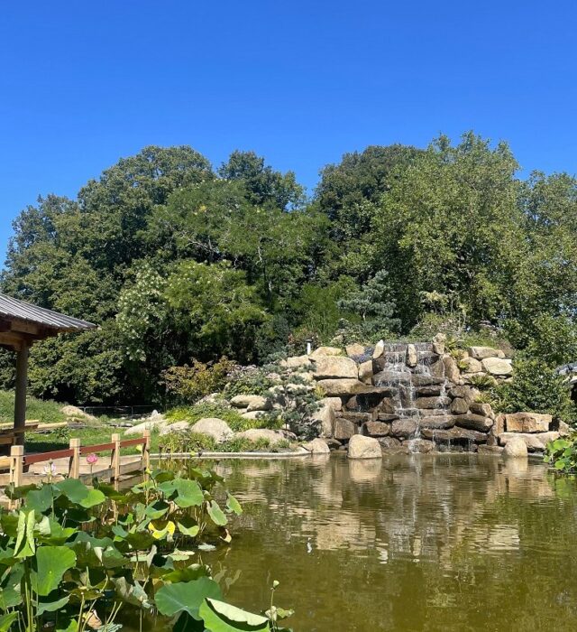 maurepas-jardin-chinois-27112