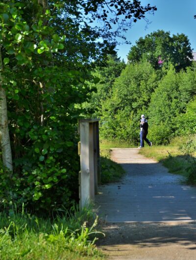 sentier-de-randonnee-franck-hamon-27121
