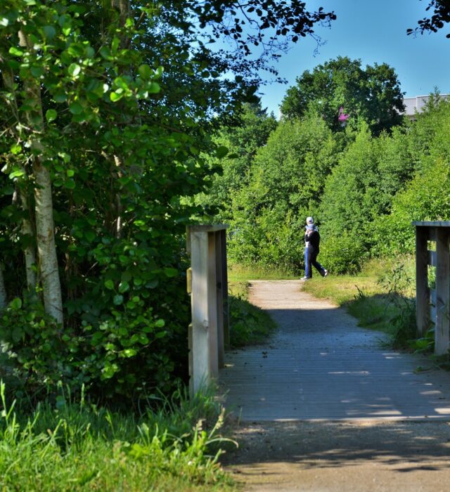 sentier-de-randonnee-franck-hamon-27121