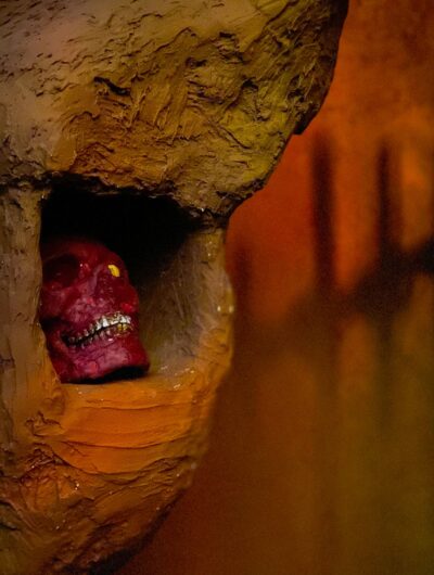 Visuel-Cellule-Grise-cannibal-island
