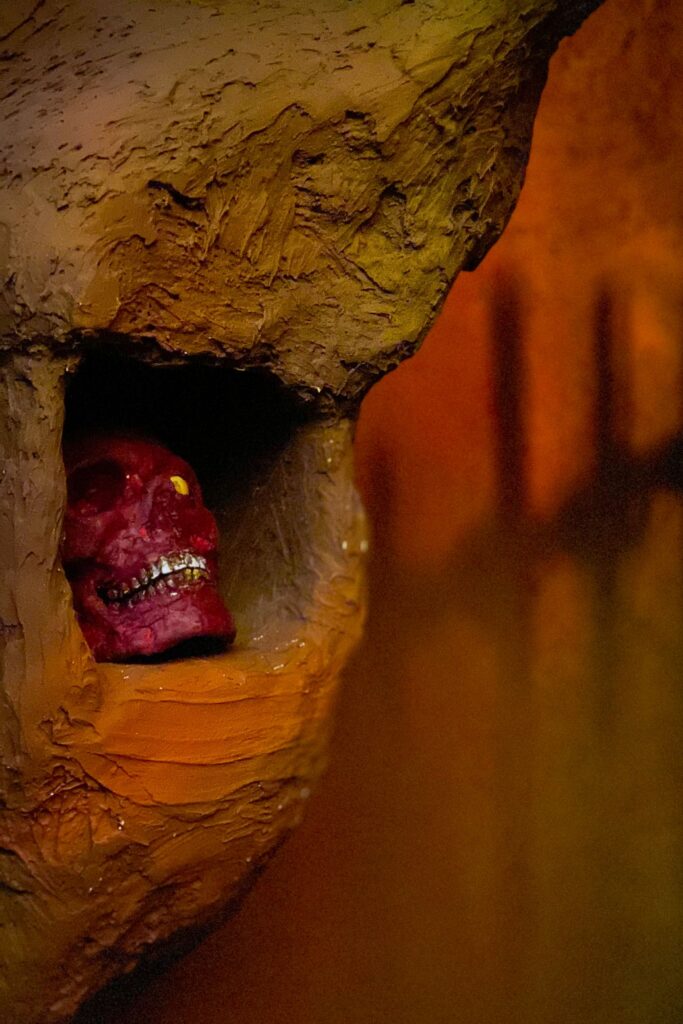 Visuel-Cellule-Grise-cannibal-island