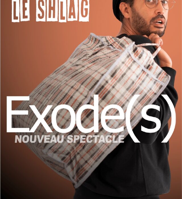 260530-djamilleshlag-affiche-oussdiaby-800-27336