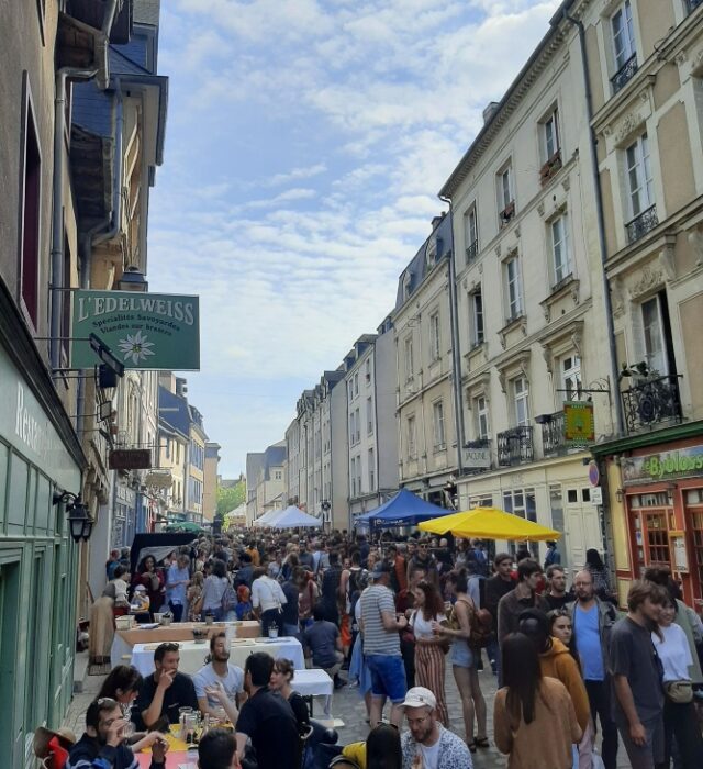 279500923-466498738582988-8229679279451661536-n-18405