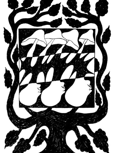 30c3747e891908d9ec1da1ea64fd3420e56ce971.jpg