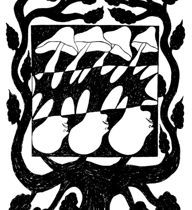 30c3747e891908d9ec1da1ea64fd3420e56ce971.jpg