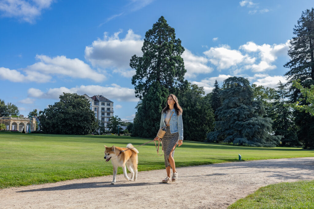 adresses dog-friendly Rennes
