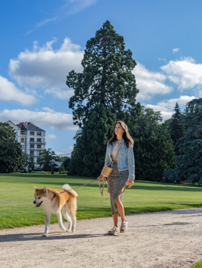 adresses dog-friendly Rennes
