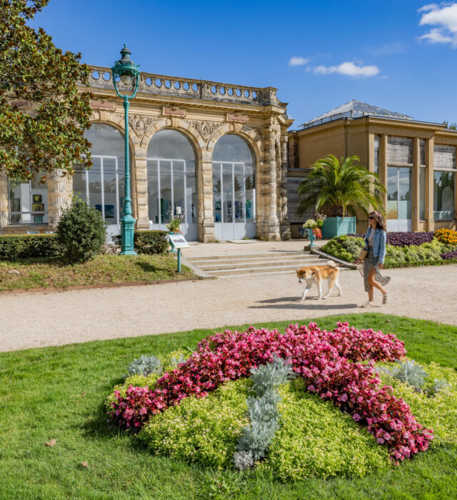 balade botanique d'été au Thabor Rennes