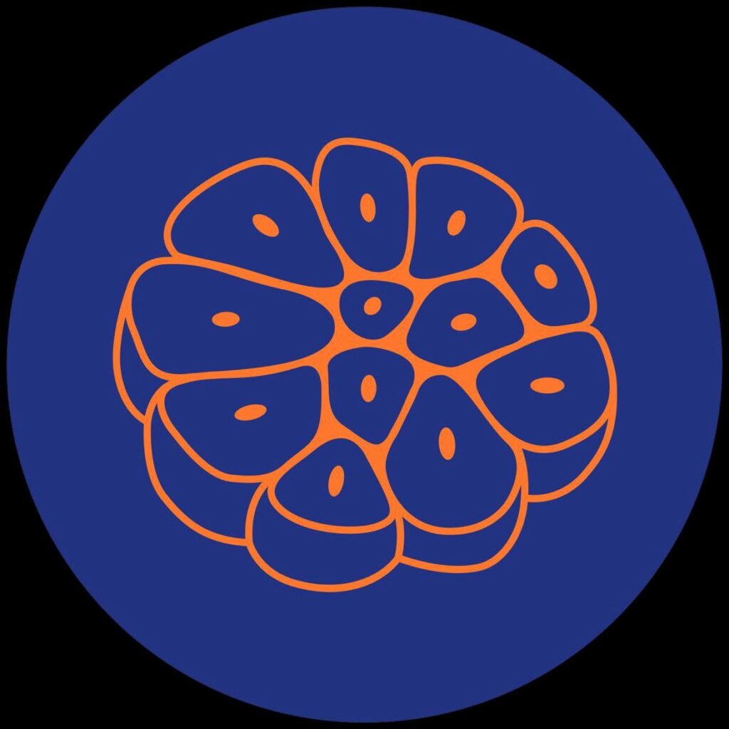 Logo du restaurant Tête d'Ail
