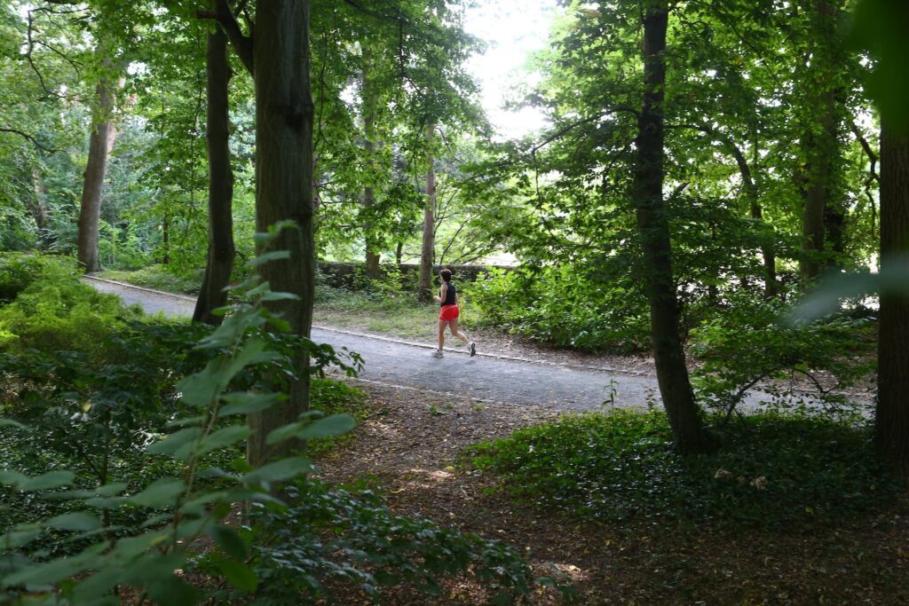 Parcours sportif au Parc des Hautes Ourmes, coureur et cycliste