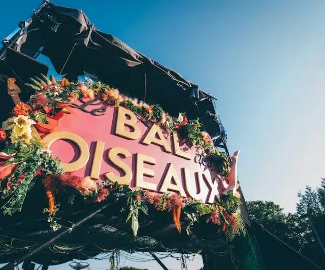 le-bal-des-oiseaux-800x532-28742