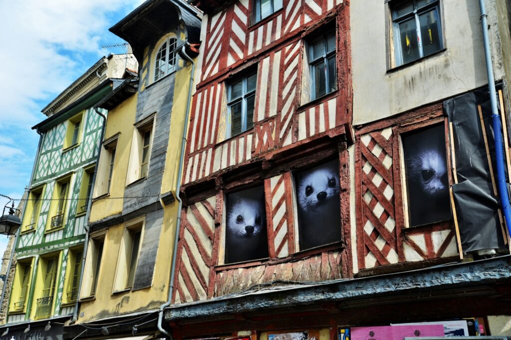 rehabilitation-des-commerces-centre-ancien-rue-saint-michel-franck-hamon-17441-1600px-28627