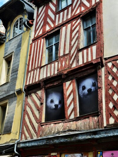 rehabilitation-des-commerces-centre-ancien-rue-saint-michel-franck-hamon-17441-1600px-28627