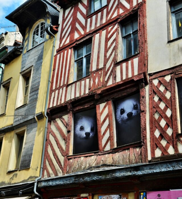 rehabilitation-des-commerces-centre-ancien-rue-saint-michel-franck-hamon-17441-1600px-28627