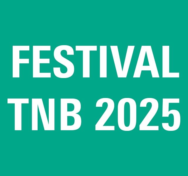 festival-2025-29080