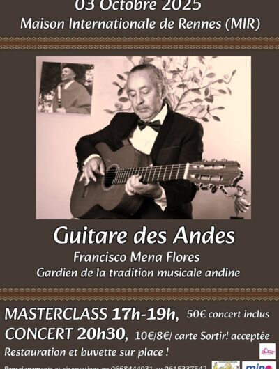 guitare-des-andes-29064