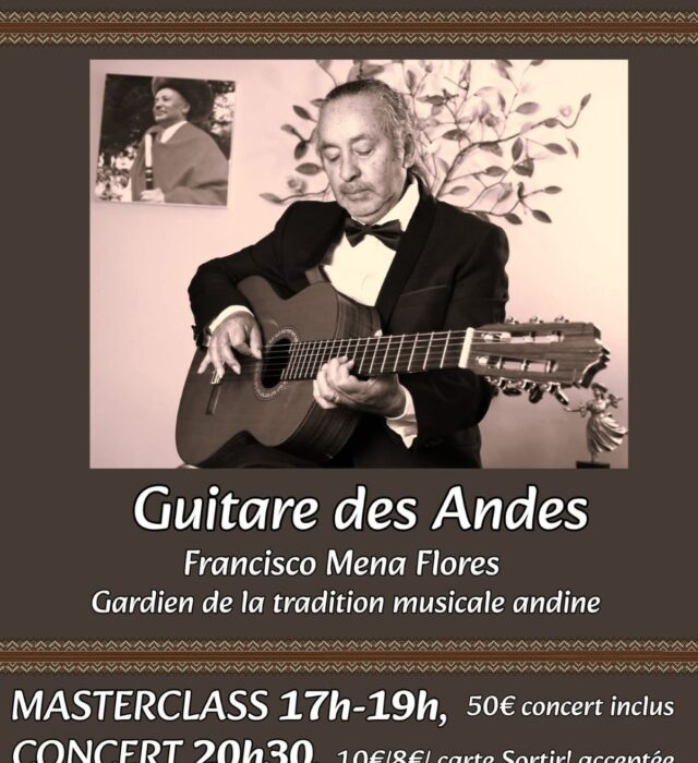 guitare-des-andes-29064