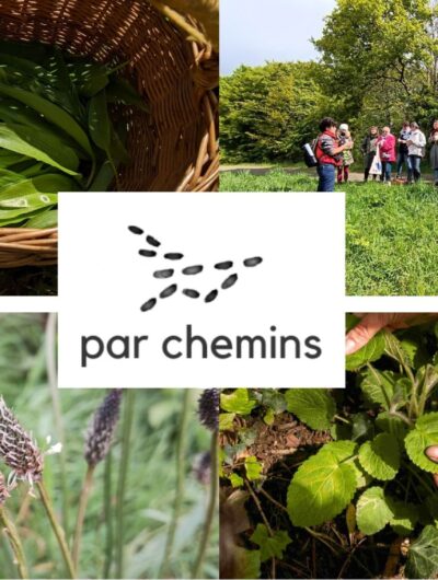 abbb552a40f820af5263b602c7ee773360ebc4b6-1-29482