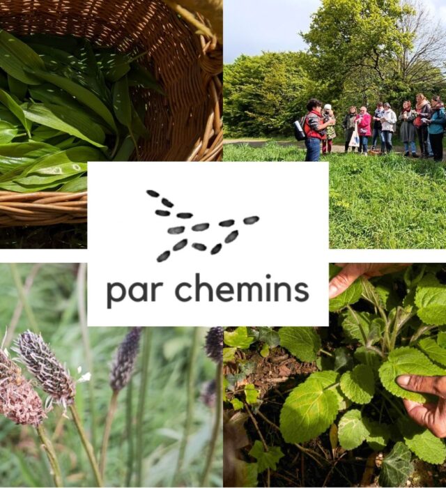 abbb552a40f820af5263b602c7ee773360ebc4b6-1-29482