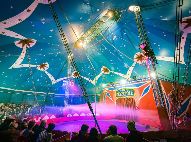 cirque-metropole-spectacle-de-noel-21157-29232.png