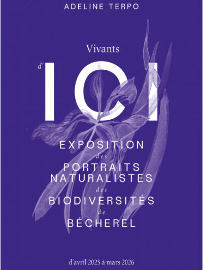 800x600-f71d2fbe8ea170293517710f2208d15aaee319ad-29590