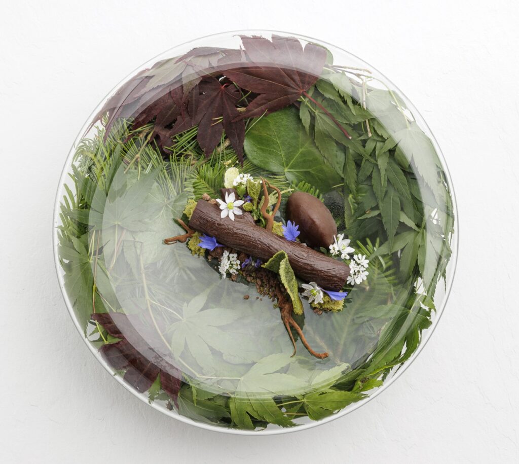 Road to Brocéliande (Valrhona Caraïbe 66%, Hazelnuts, Tahitian Vanilla) - Cheffe Chantel Dartnall