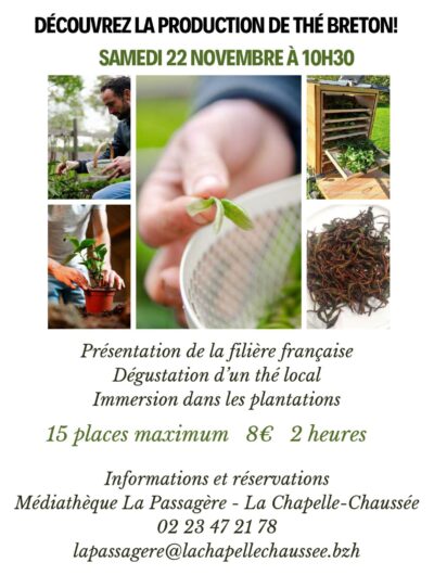 animation-th-compressed-page-0001-29669