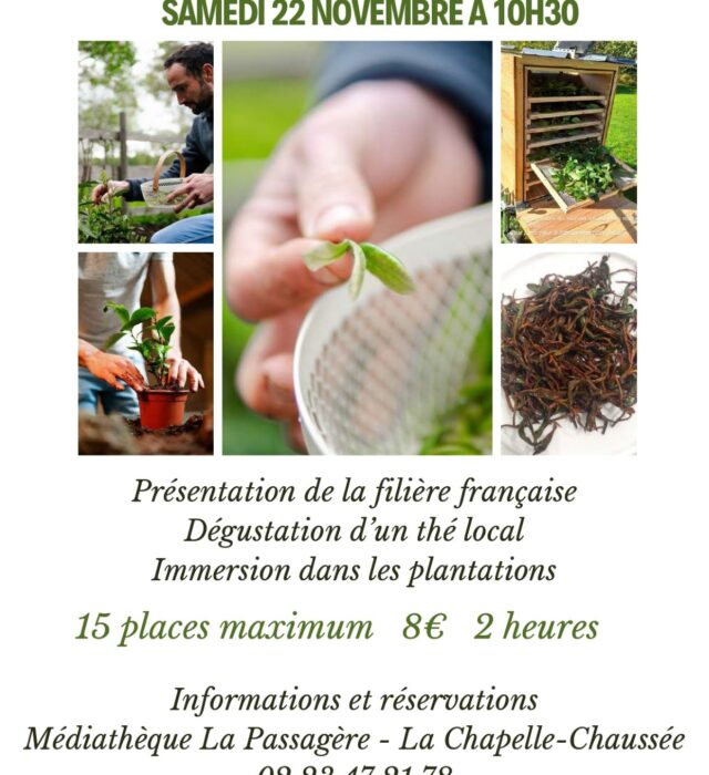 animation-th-compressed-page-0001-29669