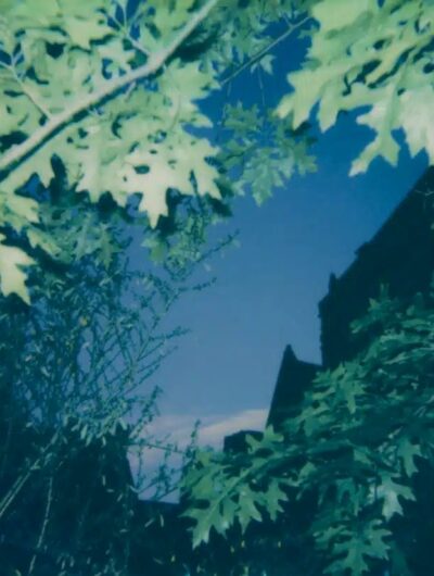 ava-photo1-c-anne-cecile-esteve-800x823-29647