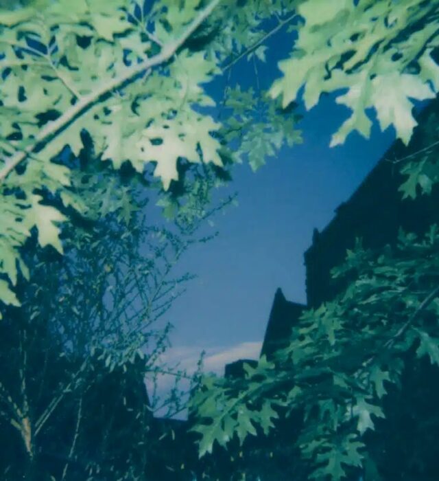 ava-photo1-c-anne-cecile-esteve-800x823-29647