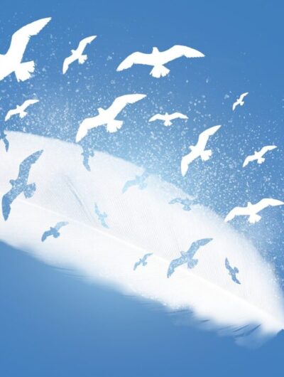 bandeau-article-colonel-oiseau-29618