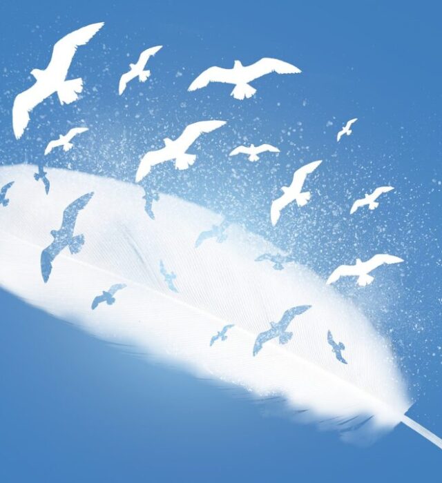 bandeau-article-colonel-oiseau-29618