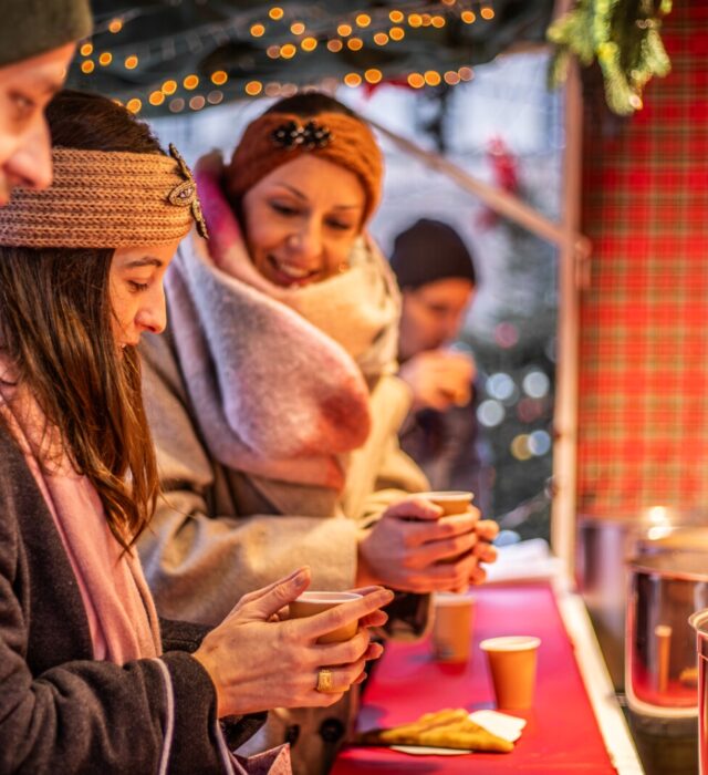 marche-de-noel-place-du-parlement-le-tiroir-de-josephine-14027-1600px-29658
