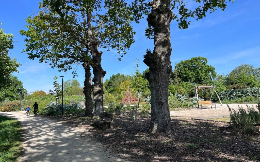 Balade roulettes dans le parc du Lindon et le parc du Presbytère