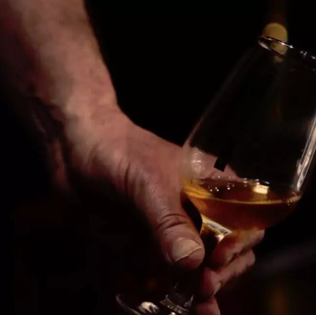 cider-punk-26-6-30249