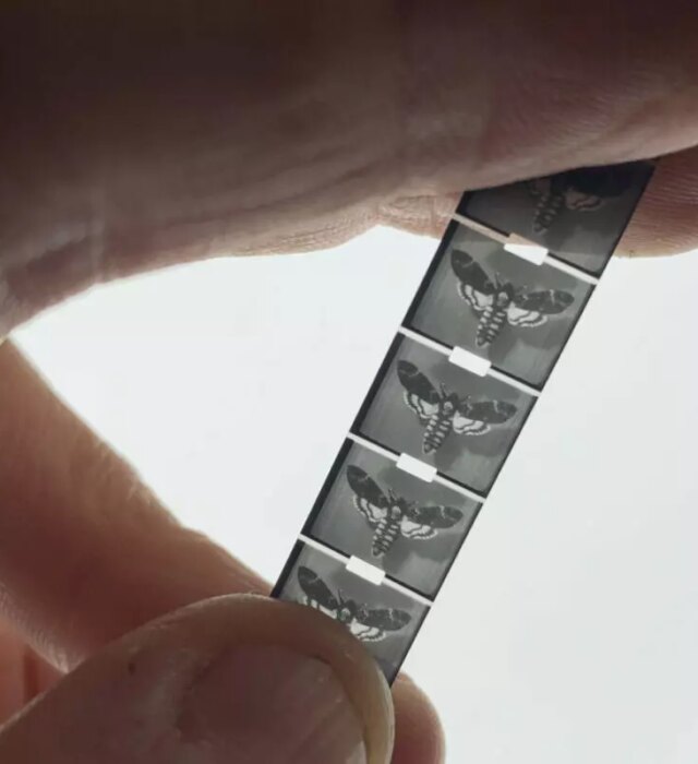 img-0117-1200x800-30247