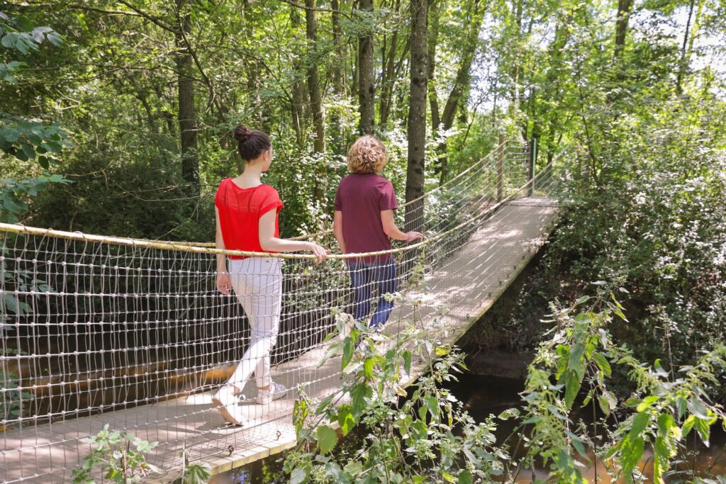 Les boucles de la Flume et le Bois de Champagne à Pacé.