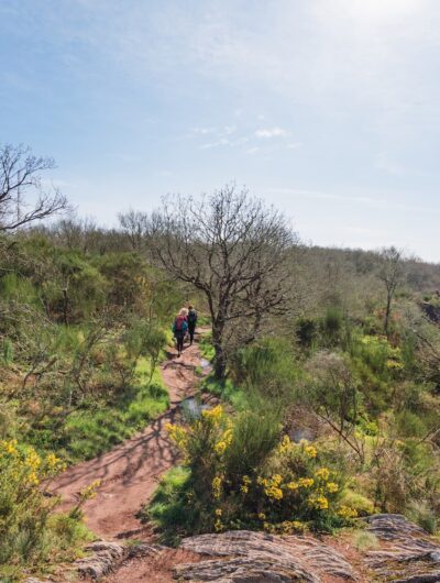 Randonnée sur les hauteurs du Boël près de Rennes, un espace naturel de 300 hectares au coeur de la Vallée de la Vilaine